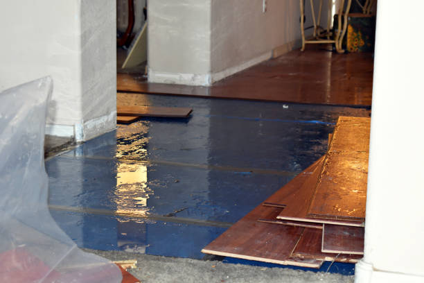Professional Water Damage Restoration technician working in Manassas, VA